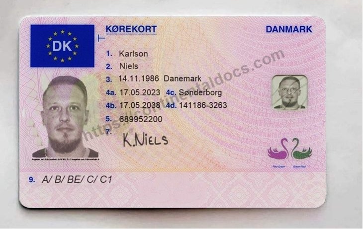 Buy Danish Driving License