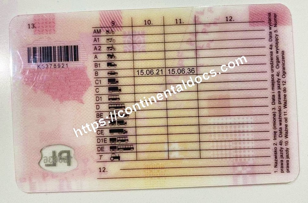 Obtain Polish driving license Polish driving license back