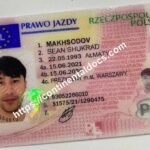 driving license cat b driving license course Obtain Polish driving license