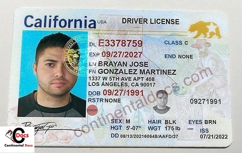 Licencia de conducir de California | Documentos continentales en línea