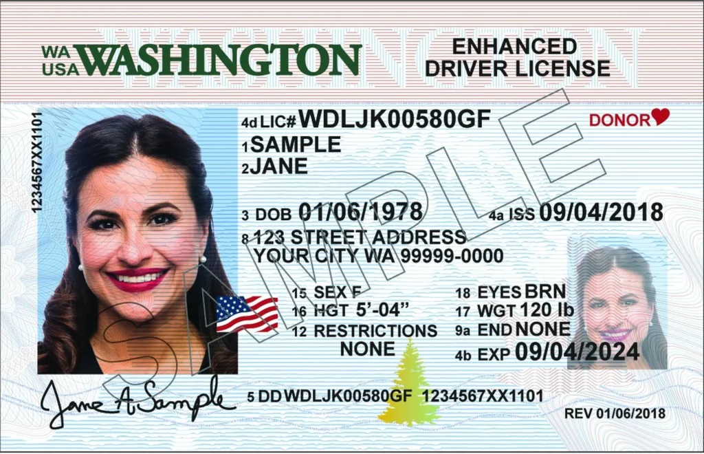 ashington driver's license