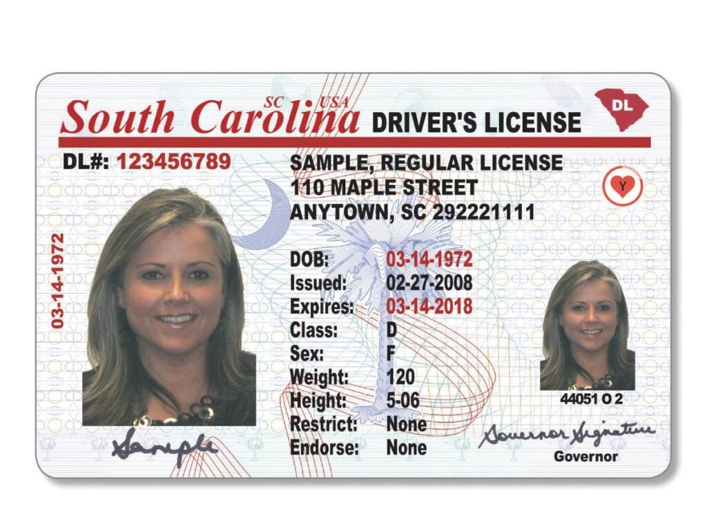 South Carolina Driver’s License