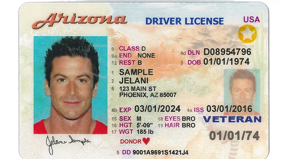 Arizona driver's license