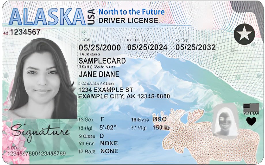 Alaska Driver’s License