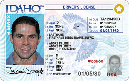 Idaho Driver's License