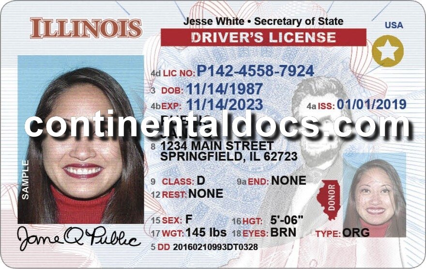 Illinois Driver’s License