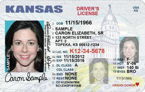 Kansas driver's license