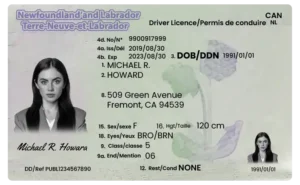 Buy Newfoundland and Labrador Driver’s License