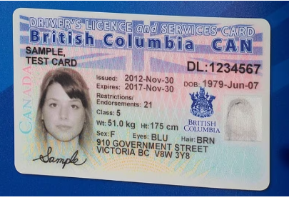 british columbia driver's license