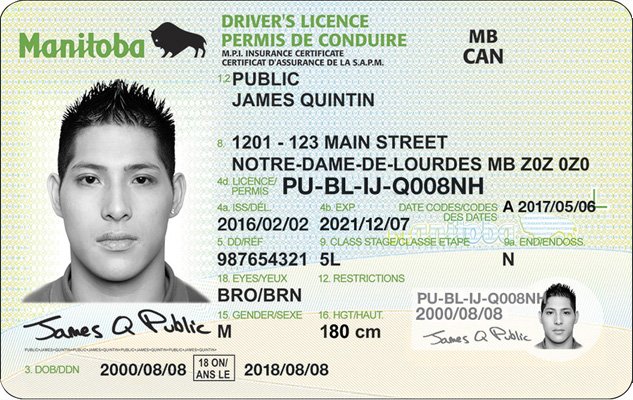 Manitoba driver's license