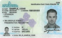 New Brunswick Driver’s License